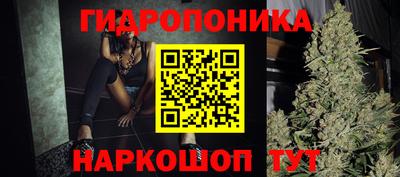 тгк Славгород