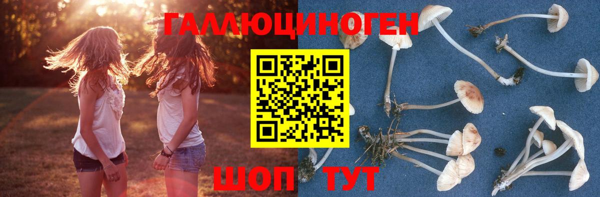 Галлюциногенные грибы Magic Shrooms  Вход с VPN  Новошахтинск 