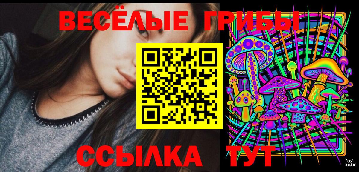 Псилоцибиновые грибы Cubensis Новошахтинск